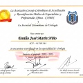 Acercar imagen: certificate 4