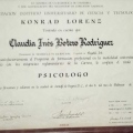Acercar imagen: certificate 4