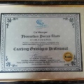 Acercar imagen: certificate 14