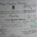 Acercar imagen: certificate 6