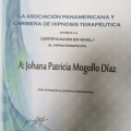 Acercar imagen: certificate 5