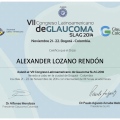 Acercar imagen: certificate 5