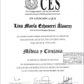 Acercar imagen: certificate 3