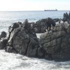 Dra. Ana Ximena Murillo Mosquera