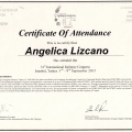 Acercar imagen: certificate 9