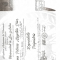 Acercar imagen: certificate 3