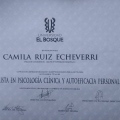 Acercar imagen: certificate 6