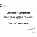 Acercar imagen: certificate 2