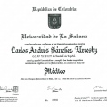 Acercar imagen: certificate 6