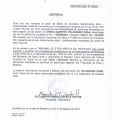 Acercar imagen: certificate 5