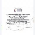 Acercar imagen: certificate 1