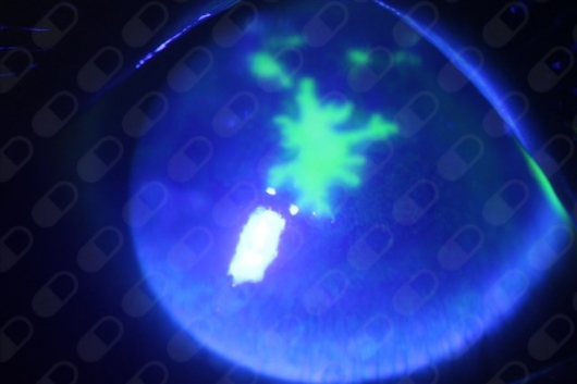 Vivian Liliana Vera Diaz-4