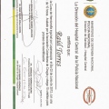 Acercar imagen: certificate 3