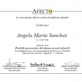 Acercar imagen: certificate 3