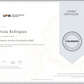 Acercar imagen: certificate 3