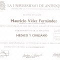Acercar imagen: certificate 3