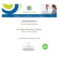 Acercar imagen: certificate 1