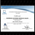 Acercar imagen: certificate 3