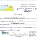 Acercar imagen: certificate 24