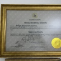 Acercar imagen: certificate 4