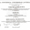 Acercar imagen: certificate 1