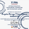 Acercar imagen: certificate 14
