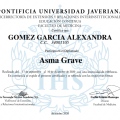Acercar imagen: certificate 6
