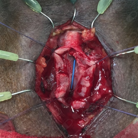 Jaime Andres Robayo-3