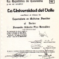 Acercar imagen: certificate 7