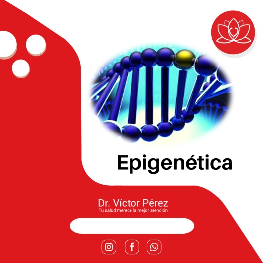 Víctor Alfonso Pérez Eslava-12