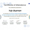 Acercar imagen: certificate 4