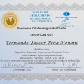 Acercar imagen: certificate 16