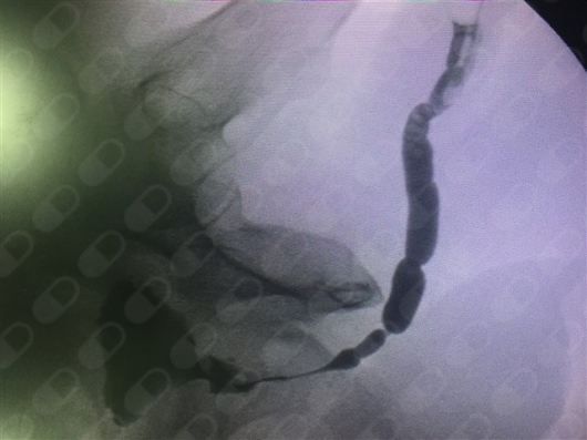 Jaime Andres Robayo-4