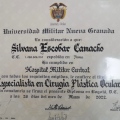 Acercar imagen: certificate 2