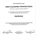 Acercar imagen: certificate 2