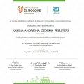 Acercar imagen: certificate 5