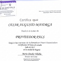 Acercar imagen: certificate 28