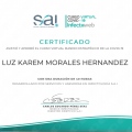 Acercar imagen: certificate 20