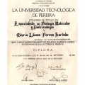Acercar imagen: certificate 2