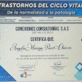 Acercar imagen: certificate 21