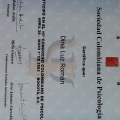 Acercar imagen: certificate 12