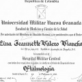 Acercar imagen: certificate 2