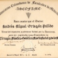 Acercar imagen: certificate 2