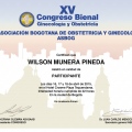 Acercar imagen: certificate 5