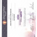 Acercar imagen: certificate 4