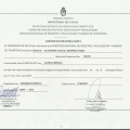 Acercar imagen: certificate 7