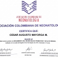 Acercar imagen: certificate 11