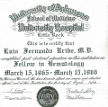 Acercar imagen: certificate 7