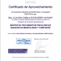 Acercar imagen: certificate 16