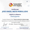 Acercar imagen: certificate 71